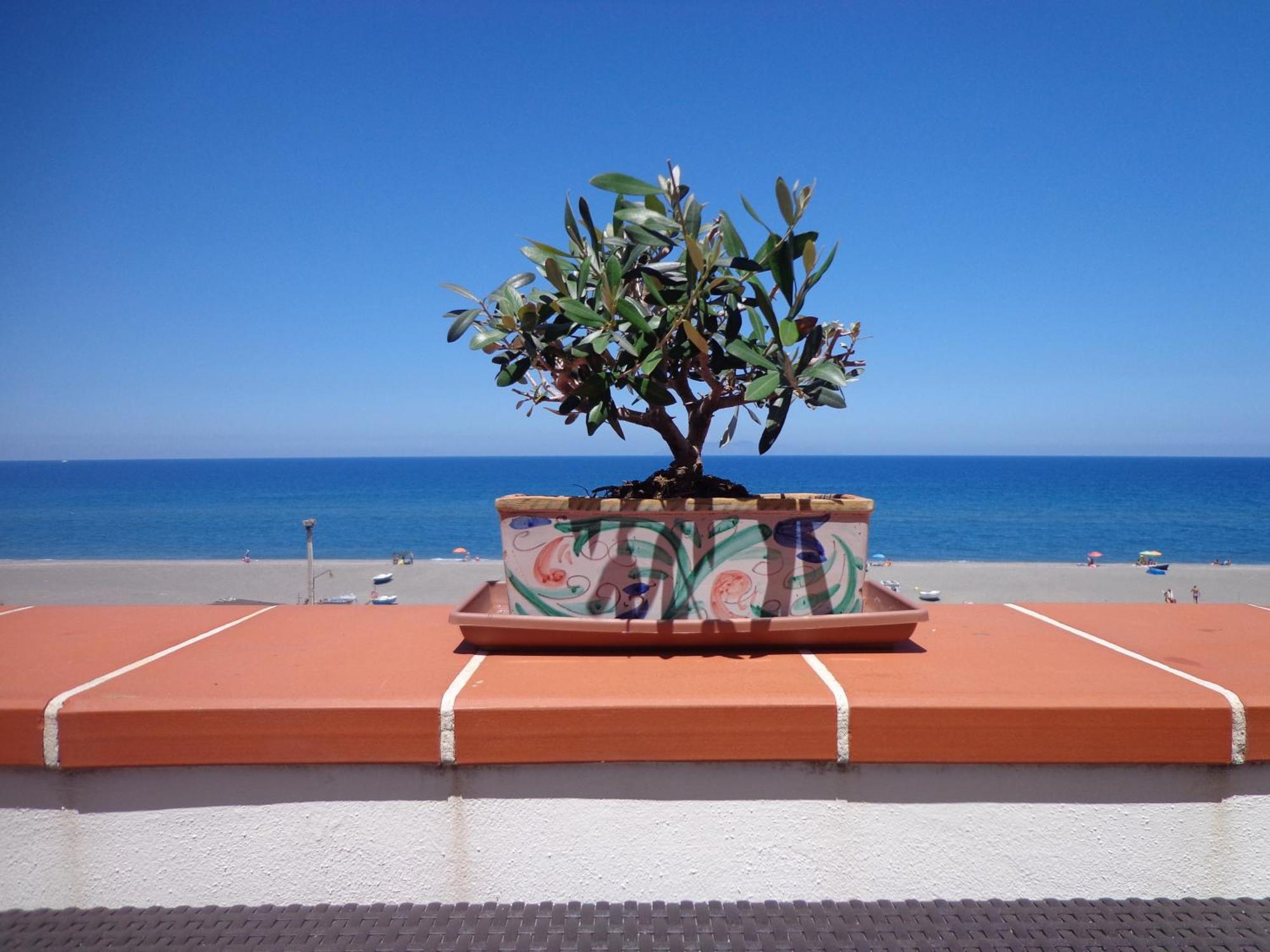 Vacanze Al Mare Patrizia'S Sweet Home Терме-Вільяторе Екстер'єр фото